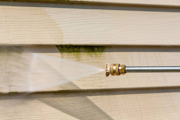 Best Deck Cleaning Services  in Cloverport, KY